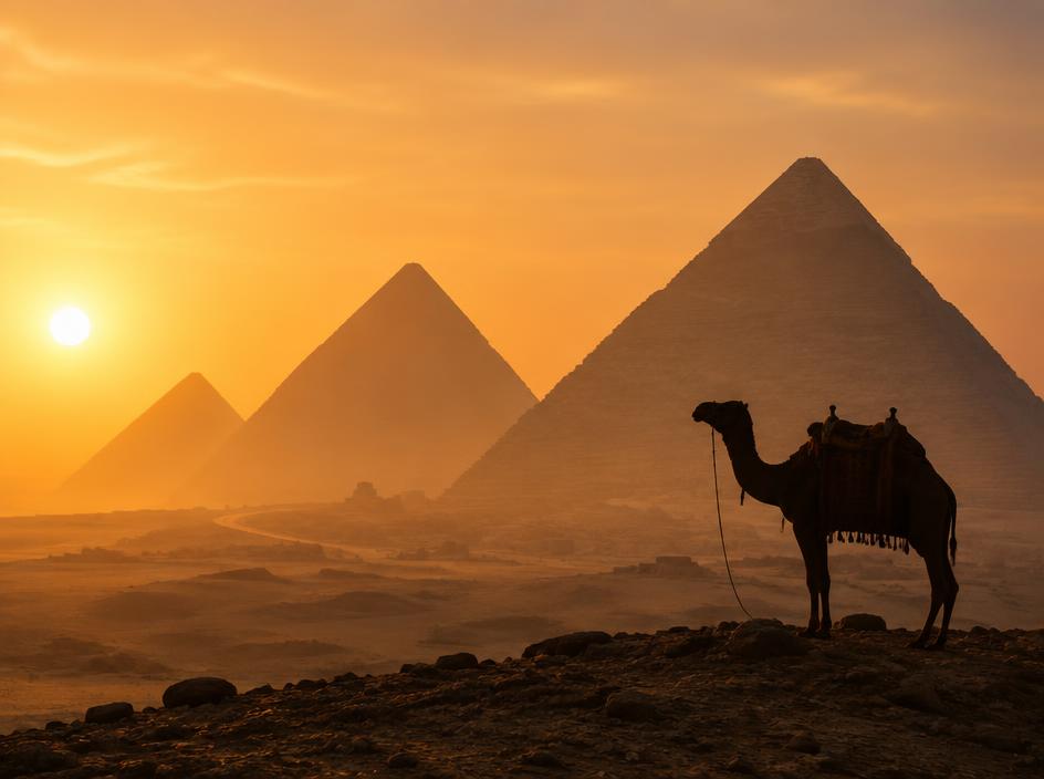 The pyramids of Giza at golden hour with a camel silhouette